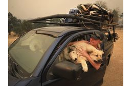 Tomboló tűz Kaliforniában – az állatok is bajban vannak