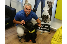 Cesar Millan interjú a Class FM rádióban