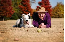 Elhunyt a legtöbb szót ismerő kutya