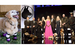 Chi Chi, az amputált mancsú kutya nyerte az idei Hero Dog díjat