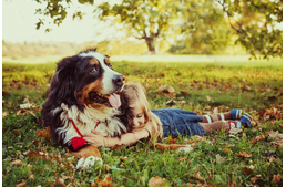 Gyereknevelés és állatvédelem - hol tartunk?