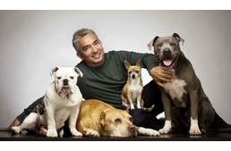 Kutyakiképzési trükkök a Csodálatos Kutyadokitól