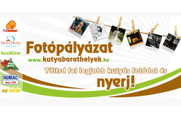 Ismét Fotópályázat a Kutyabarathelyek.hu-n!