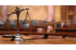 22 kölyökkutya halt meg a kutyacsempész miatt - vádat emeltek ellene