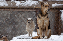 A Black Friday után itt az Adakozó Kedd