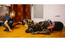 Így élnek az ördögfiókák - Két rosszcsont kölyökkutya története