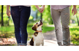 Ilyenek a kutyások párkapcsolati szokásai egy felmérés szerint