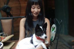 Egy kínai városban is bevezették a kutyajogosítványt