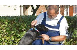 Motorja után kötötte kutyáját egy férfi - a bűncselekmény négylábú áldozatát egy rendőr fogadta örökbe