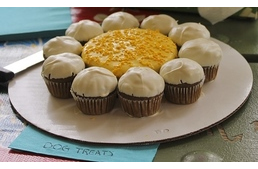 Jutalomfalat DIY - 5 kutyajó recept kedvencednek