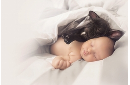 Ennél édesebb kutya-baba fotókat még nem láttunk!