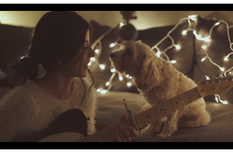 Dalba zárt szeretet