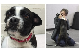 20 hónap után újra magához ölelhette kutyáját