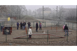 Kutyajátszóteret kaptak Debrecen kutyái