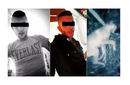 Megúszták a deteki kutyagyilkosok