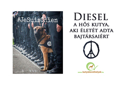 Így emlékezik a világ Dieselre, a hős rendőrkutyára