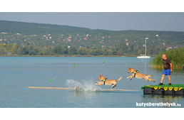 Hatalmas kutyás buli a Balatonon!
