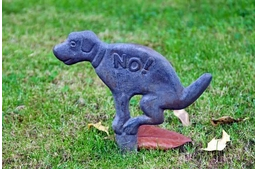 Önnek egy új kutyagumija érkezett!