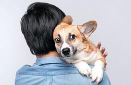 Gazdi és a szeretet-roham – nem esel túlzásba?