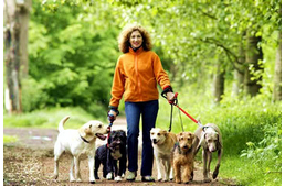  Kutyás természetjárás