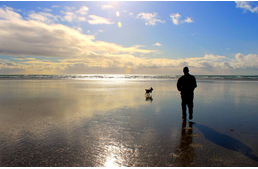 Kutyasétáltatás közben talált rá egy eddig ismeretlen őshüllő faj maradványára egy angol férfi