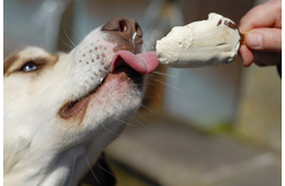 Hűsítő finomságok tárháza