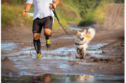 A nyers erő versenye - Küzdj le minden akadályt kutyáddal! 