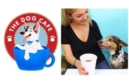 Kávézó mentett kutyáknak? Íme a Dog Cafe!