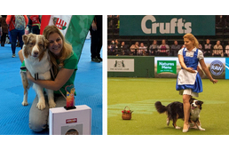 Világbajnokságot nyerhetünk kutyatáncban Világbajnokságot nyerhetünk kutyatáncban