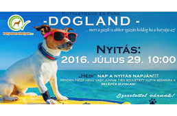 Megnyitja kapuit a Gödöllőn a Kutyastrand!