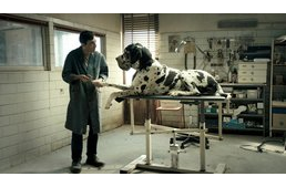 Kutyás film volt a legsikeresebb az olasz "Oscar-gálán"