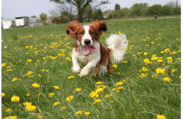 A mozgatás a prevenció kulcsa