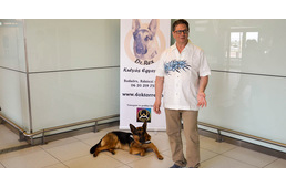 Rex, a gyerekek kedvence névadója lett egy kutyás egyesületnek