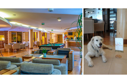 Fotópályázat 2018 – ide nyerhetsz kutyabarát hétvégét 