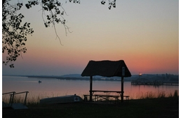 Veszélyben a velencei-tavi kutyás strand?