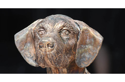 Bronzba öntve a kilenc magyar kutyafajta