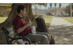 Újra egy puli a sztár Amerikában!