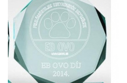 Kutyás díj az önkormányzatnak!