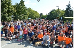 Rekord született a III. Ebugatta Kutya Napon!