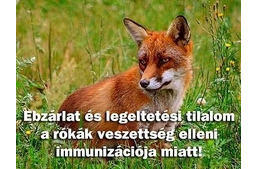 Ebzárlat az ország több településén