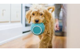 Termékvisszahívások: kiterjesztik a visszahívott termékek sorát