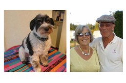 Egy 80 éves dédmama, aki életét adta kiskutyájáért