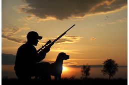 Amikor veszélyes az erdő - erdőlátogatási tilalom az ország több pontján