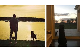Végtelen kutyahűség - rendületlenül várja haza kutyája az eltűnt focistát