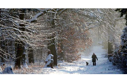 Életveszélyes téli erdő - erdőlátogatási tilalom Pécs parkerdeiben!