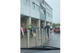 Treck - Lorem ipsum dolor sit amet