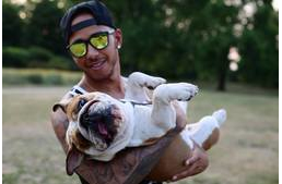 Hamilton kutyás képpel indul egy jótékonysági árverésen