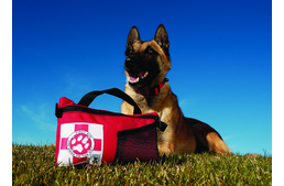 Elsősegélycsomag minden esetre!