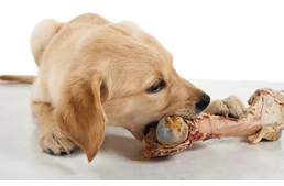 A nyers étrend hátulütői