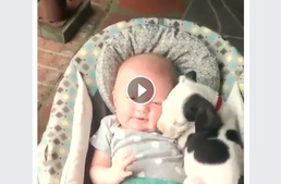 Így kapcsold ki az autoplay videókat Facebookon